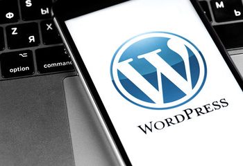 WordPress Website Develop a Responsive Professional Website for all type of Businesses.